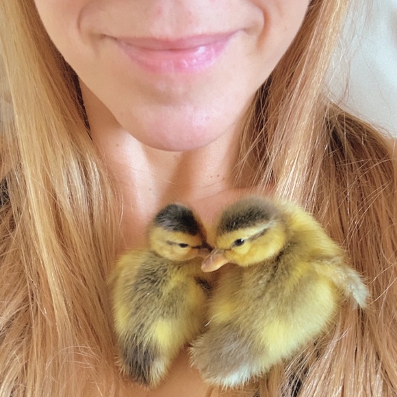 Meet your Posher, D - Picture 1 of 2